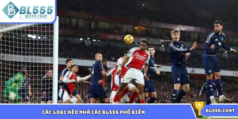 Các loại kèo nhà cái BL555 phổ biến năm 2025