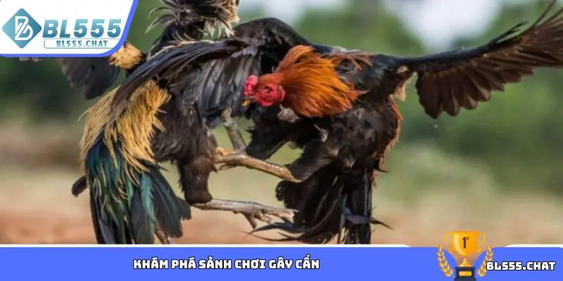 Khám phá sảnh chơi gây cấn