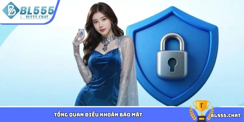 Tổng quan điều khoản bảo mật