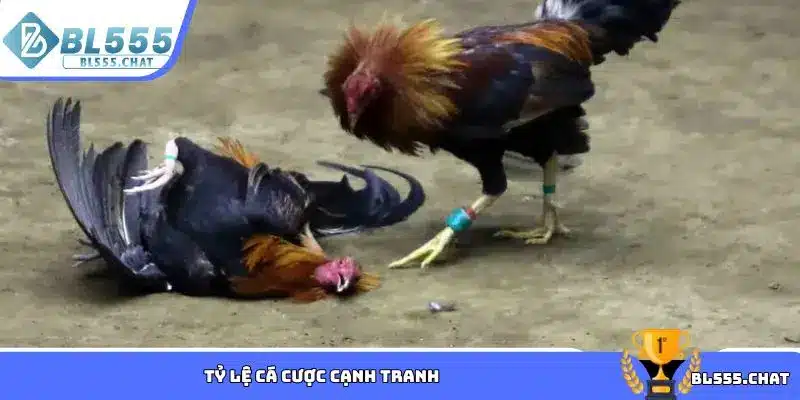 Tỷ lệ cá cược cạnh tranh